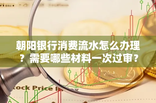 朝阳银行消费流水怎么办理?需要哪些材料一次过审?