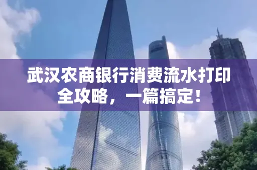 武汉农商银行消费流水打印全攻略,一篇搞定!