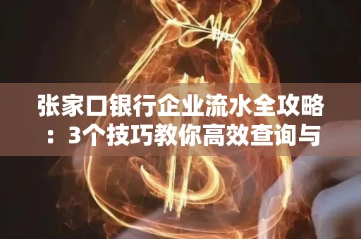 张家口银行企业流水全攻略:3个技巧教你高效查询与风险规避