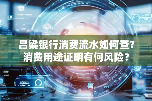 吕梁银行消费流水如何查?消费用途证明有何风险?