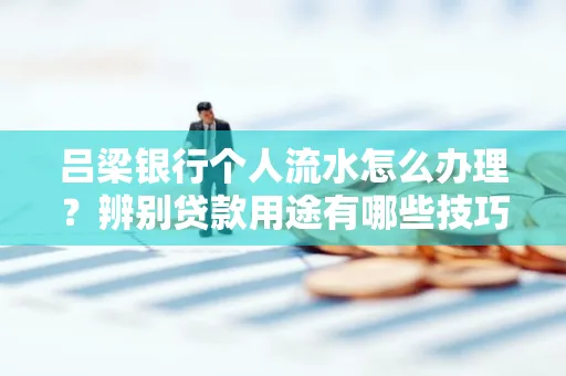 吕梁银行个人流水怎么办理?辨别贷款用途有哪些技巧?