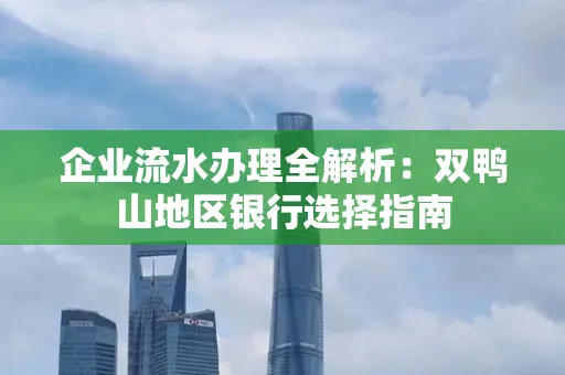 企业流水办理全解析:双鸭山地区银行选择指南