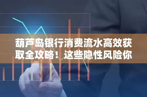 葫芦岛银行消费流水高效获取全攻略!这些隐性风险你必须知道