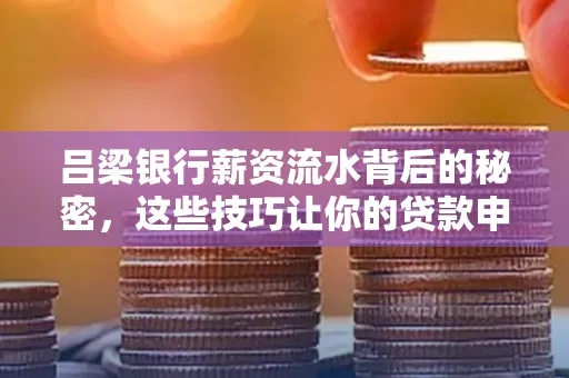 吕梁银行薪资流水背后的秘密,这些技巧让你的贷款申请快人一步
