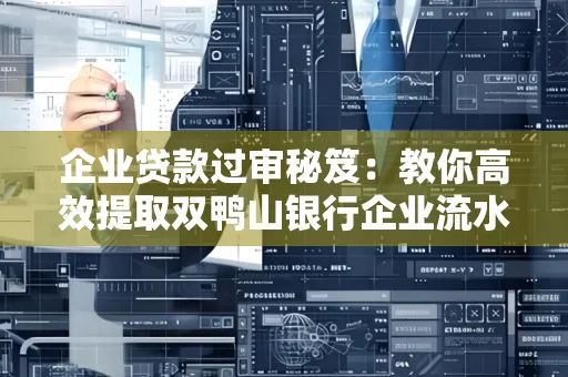 企业贷款过审秘笈:教你高效提取双鸭山银行企业流水