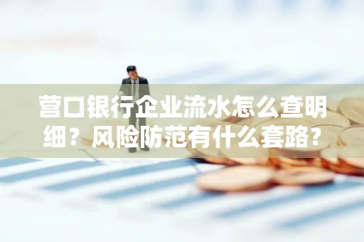 营口银行企业流水怎么查明细?风险防范有什么套路?