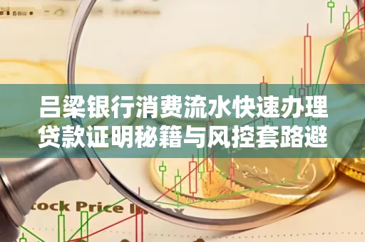 吕梁银行消费流水快速办理贷款证明秘籍与风控套路避坑指南