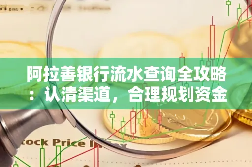 阿拉善银行流水查询全攻略:认清渠道,合理规划资金流动技巧