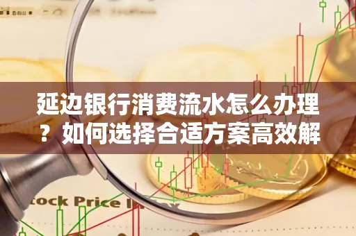 延边银行消费流水怎么办理?如何选择合适方案高效解决?