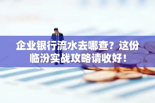 企业银行流水去哪查?这份临汾实战攻略请收好!