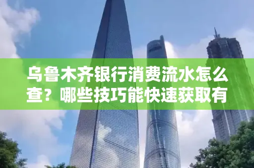 乌鲁木齐银行消费流水怎么查?哪些技巧能快速获取有效信息?