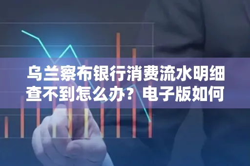 乌兰察布银行消费流水明细查不到怎么办?电子版如何获取攻克技巧?