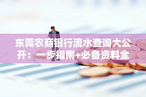东莞农商银行流水查询大公开:一步指南+必备资料全解读