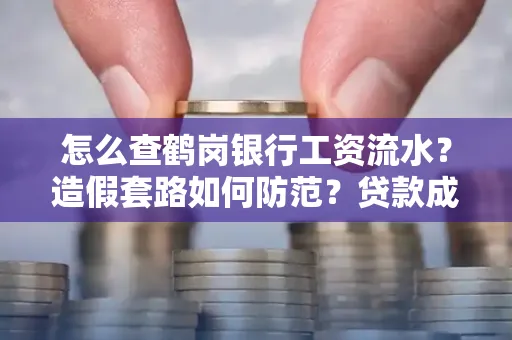 怎么查鹤岗银行工资流水?造假套路如何防范?贷款成功率翻倍攻略