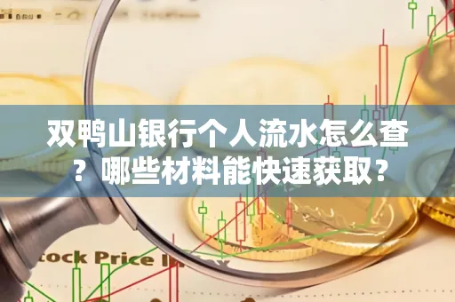 双鸭山银行个人流水怎么查？哪些材料能快速获取？
