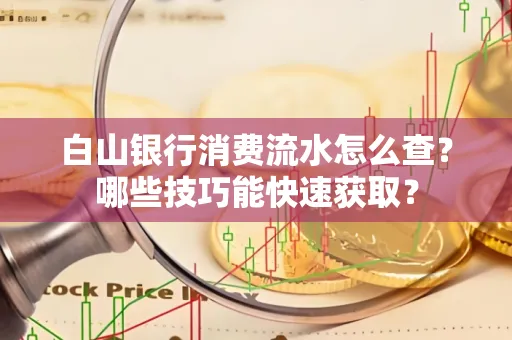 白山银行消费流水怎么查？哪些技巧能快速获取？