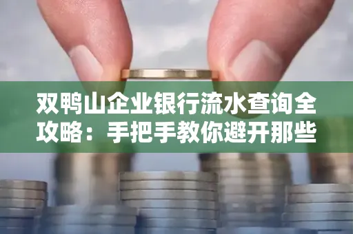双鸭山企业银行流水查询全攻略：手把手教你避开那些坑