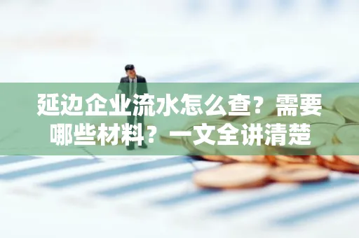 延边企业流水怎么查?需要哪些材料?一文全讲清楚