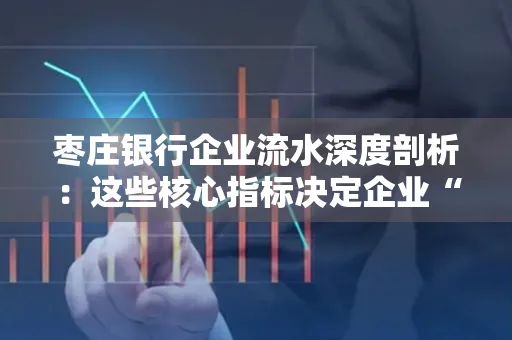 枣庄银行企业流水深度剖析:这些核心指标决定企业“钱袋子”健康度