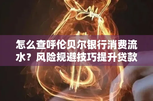 怎么查呼伦贝尔银行消费流水?风险规避技巧提升贷款率?